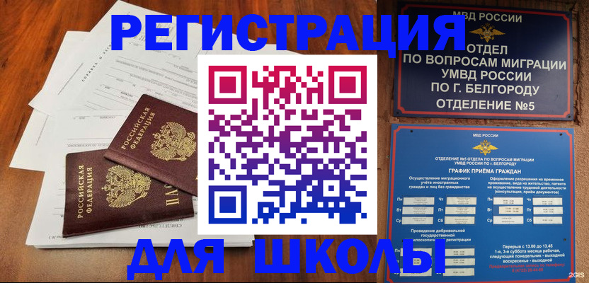 прописка поиск в Мончегорске